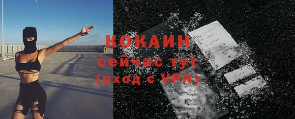 альфа пвп Новодвинск
