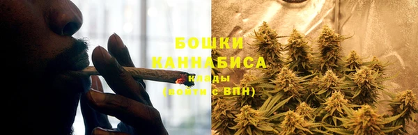 альфа пвп Новодвинск